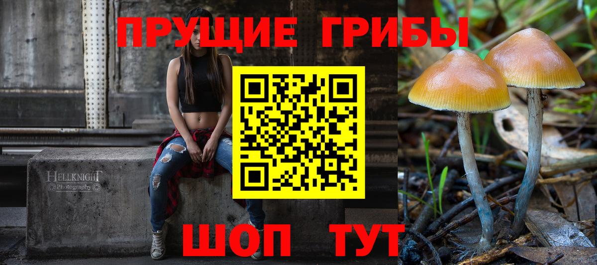 Луга  Галлюциногенные грибы Magic Shrooms  Вход с VPN  Галлюциногенные грибы MAGIC MUSHROOMS 