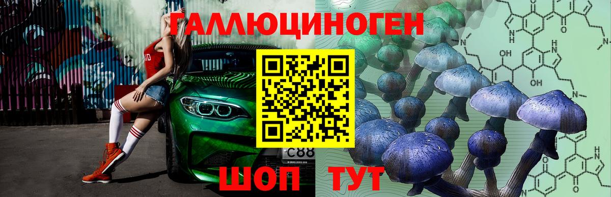 Галлюциногенные грибы ЛСД Луга